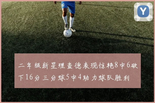 二年级新星理查德表现惊艳8中6砍下16分三分球5中4助力球队胜利